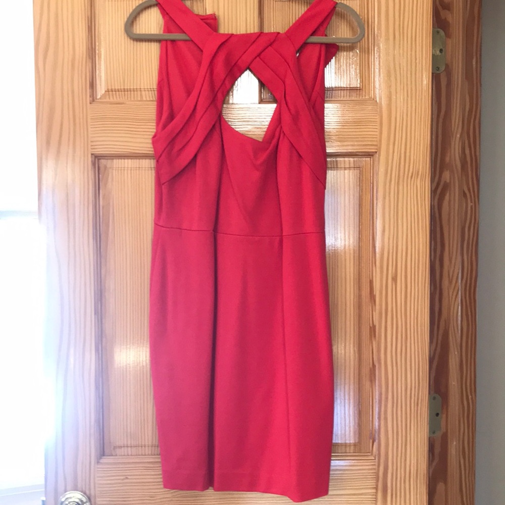 Cynthia Steffens Red Dress